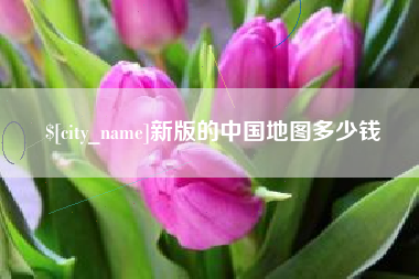 贺州新版的中国地图多少钱