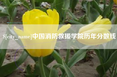 贺州中国消防救援学院历年分数线