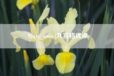 贺州九宫格优点
