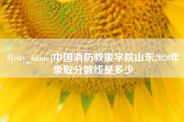 贺州中国消防救援学院山东2020年录取分数线是多少