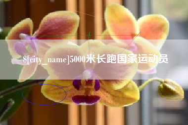 贺州5000米长跑国家运动员