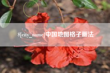 贺州中国地图格子画法