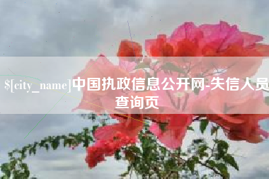 贺州中国执政信息公开网-失信人员查询页