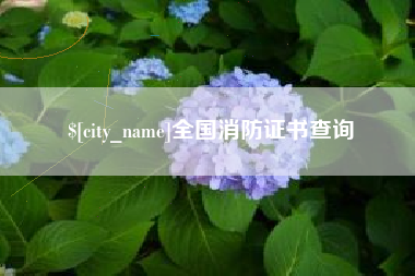 贺州全国消防证书查询