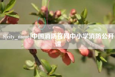 贺州中国消防官网中小学消防公开课