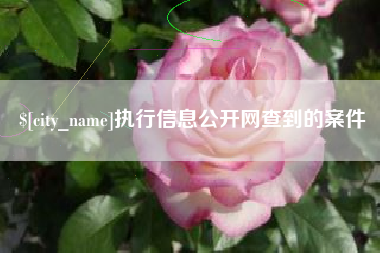 贺州执行信息公开网查到的案件