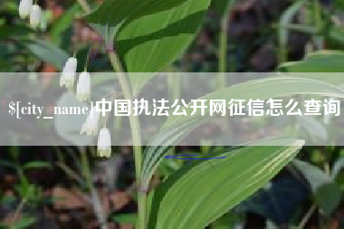 贺州中国执法公开网征信怎么查询