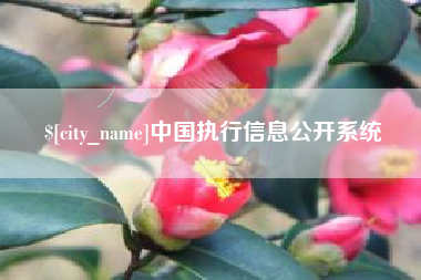 贺州中国执行信息公开系统