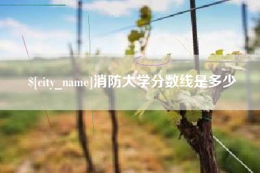 贺州消防大学分数线是多少