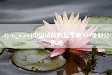 贺州中国消防救援学院2019录取分数线