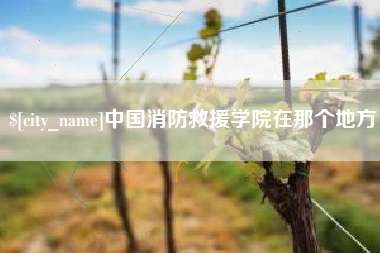 贺州中国消防救援学院在那个地方