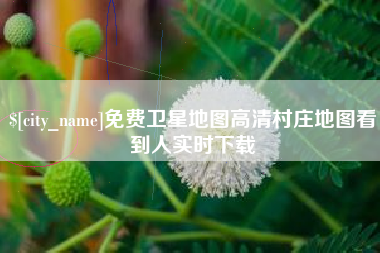 贺州免费卫星地图高清村庄地图看到人实时下载