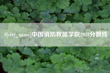 贺州中国消防救援学院2018分数线