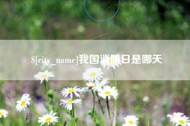 贺州我国消防日是哪天