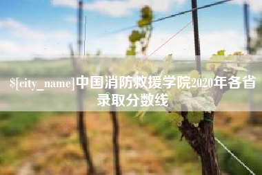 贺州中国消防救援学院2020年各省录取分数线