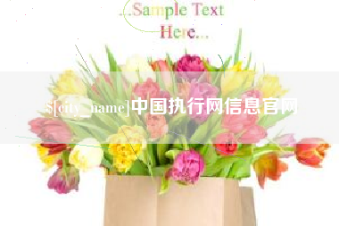 贺州中国执行网信息官网