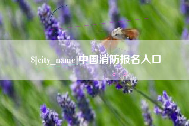 贺州中国消防报名入口