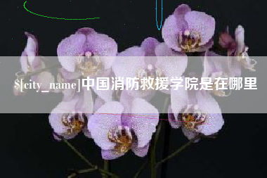 贺州中国消防救援学院是在哪里