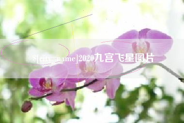 贺州2020九宫飞星图片