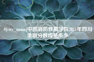 贺州中国消防救援学院2021年四川录取分数线是多少