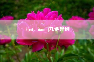 贺州九金是谁