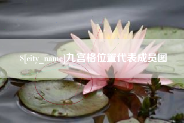 贺州九宫格位置代表成员图