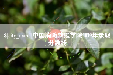 贺州中国消防救援学院2019年录取分数线