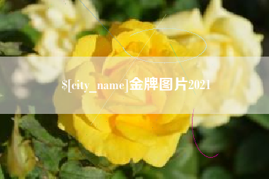 贺州金牌图片2021