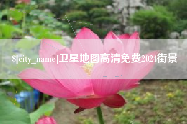 贺州卫星地图高清免费2024街景