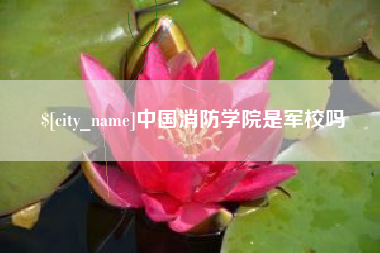 贺州中国消防学院是军校吗