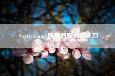 贺州国家消防报名入口