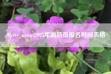 贺州2025年消防员报名时间表格