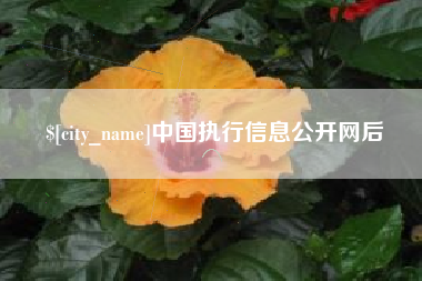 贺州中国执行信息公开网后