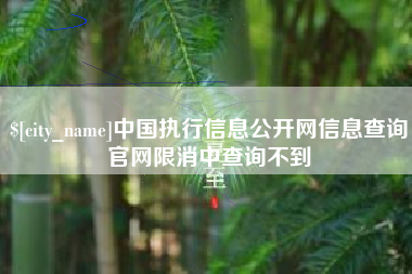 贺州中国执行信息公开网信息查询官网限消中查询不到