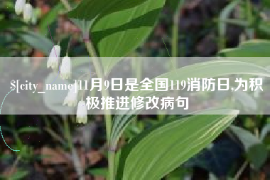 贺州11月9日是全国119消防日,为积极推进修改病句