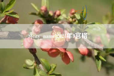 贺州2021年9宫格