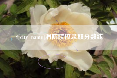 贺州消防院校录取分数线