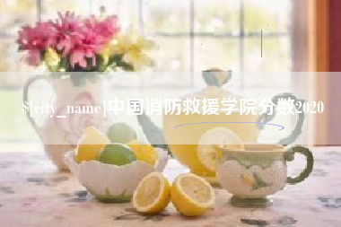 贺州中国消防救援学院分数2020