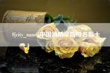 贺州中国消防学院排名前十