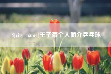 贺州王子豪个人简介乒乓球