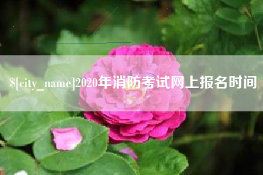 贺州2020年消防考试网上报名时间