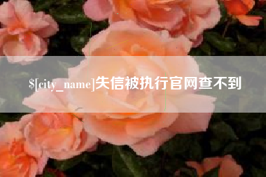 贺州失信被执行官网查不到
