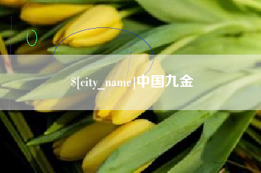 贺州中国九金