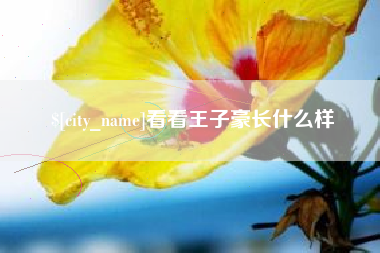 贺州看看王子豪长什么样