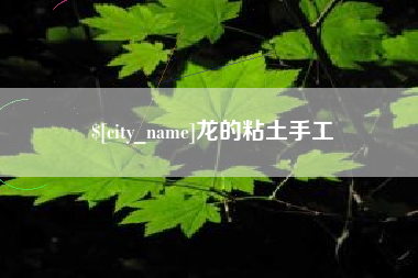 贺州龙的粘土手工