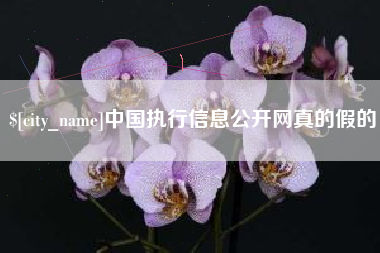 贺州中国执行信息公开网真的假的