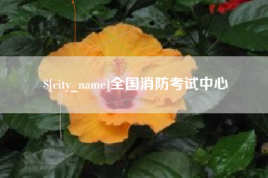 贺州全国消防考试中心