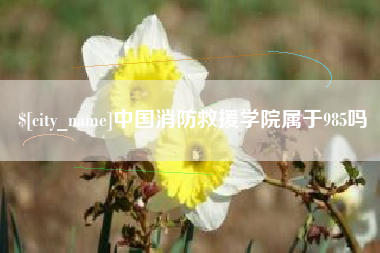 贺州中国消防救援学院属于985吗