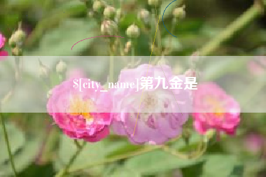 贺州第九金是