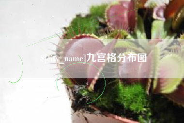 贺州九宫格分布图